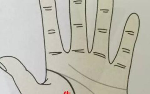 手相生命线分析：手掌生命线的粗细代表什么？