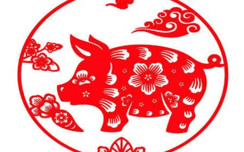 属猪和什么属相不合