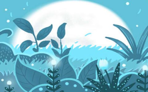 家居风水说：客厅一定要吊顶吗？