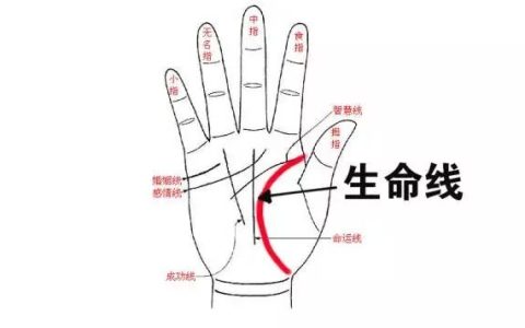 手中哪条线是生命线？手相生命线该怎么看？