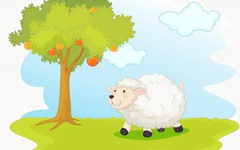 属羊住几层楼最好