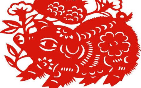 什么生肖最旺猪