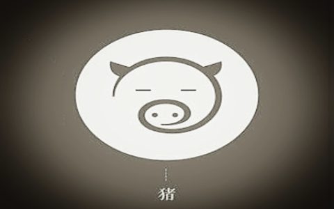 属猪的人出生月的命运