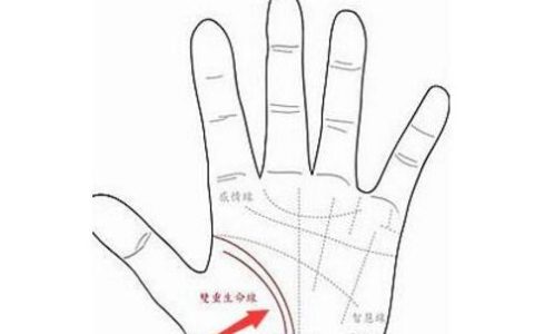 双重生命线好不好,两条生命线好不好？