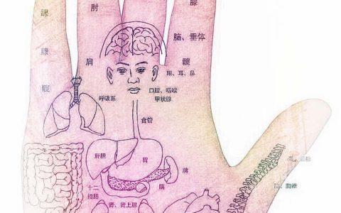 女人手相图解大全：手相分析你的一生运势吉凶！