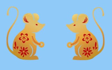 属鼠人2024年财运如何