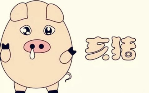 属猪的人办公室风水布局