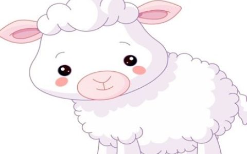 属羊女喜欢什么男人