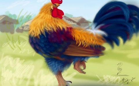 属鸡人本命年需要注意什么