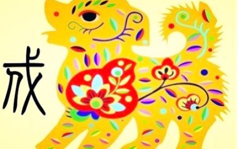 属狗今年健康运如何