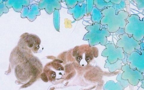 属狗的家里挂什么画好