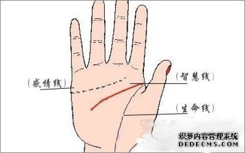 宝手相：手上最主要的三条线叫什么？有什么寓意？