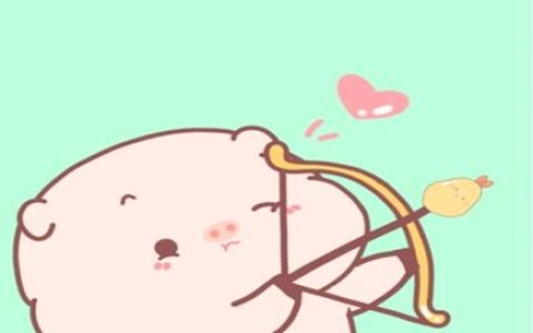 属猪和什么属相合财