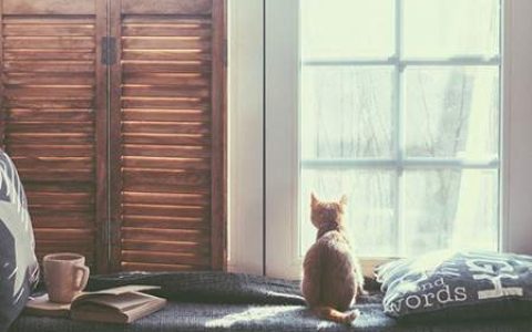 招财猫有哪些风水寓意_招财猫的摆放讲究
