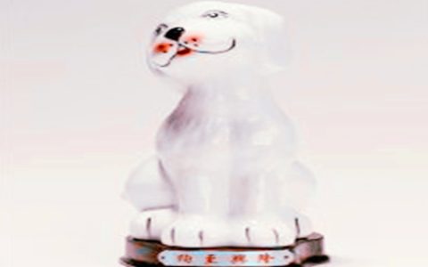 属狗佩戴什么招财