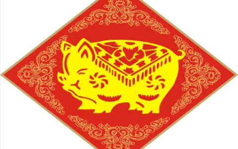 生肖猪的健康运势