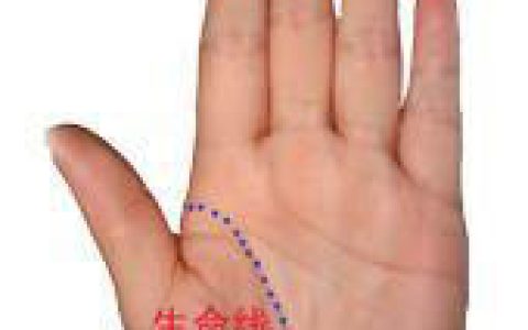 手相分析：手相准吗？手相图解大全准到吓死人！