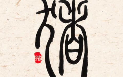 属猪女人生于几月偏财运好
