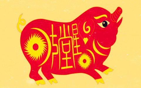 生肖猪的财运方位