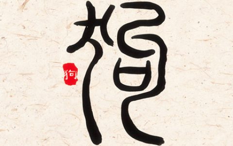 属狗女人生于几月偏财运好