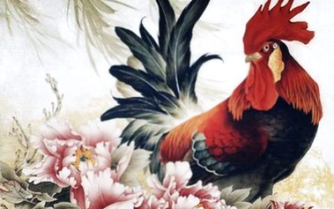 属鸡今年健康运如何