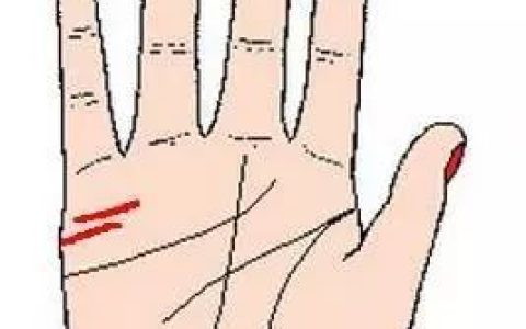 【手相图解】婚姻线怎么看？手把手教你看婚姻线！