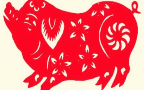 属猪佩戴什么运气最好