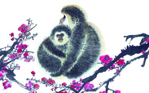属猴2020年运势及运程 属猴的人2020年全年运势