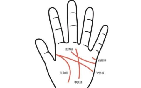 生命线旁边多出一条线代表什么