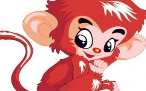 属猴人和什么生肖合作好