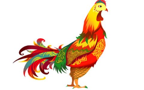 属鸡适合开什么颜色的车