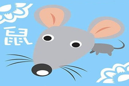 属鼠人低谷时如何改变现状