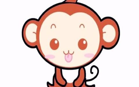 生肖猴取名的宜忌