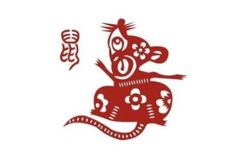 属鼠人2024年全年运势运程，属鼠人2024年每月运势运程！