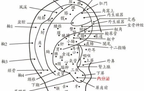 算命的说耳垂有痣的人 男人女人耳垂痣详解