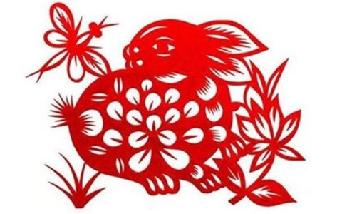 生肖兔的人2023年运势及运程详解_2023兔年本命年全年运势