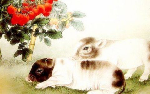 猪和猪的属相合不合 - 猪和猪婚配怎么样