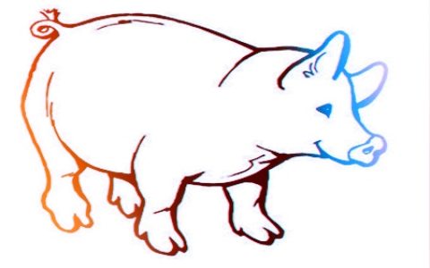 属猪人2020年健康运如何