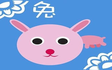 属兔人适合快餐式恋爱吗