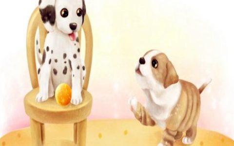 属狗女人佩戴什么好