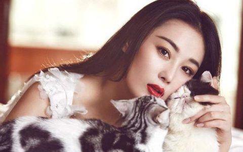 会离婚的手相，什么样的手相会离婚？