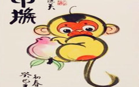 属猴的男人事业运好不好