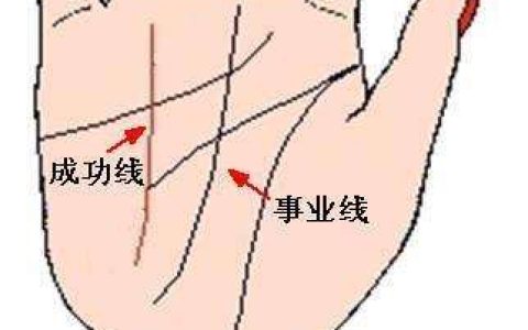 手相事业线是哪一条？事业线分析大全教你看懂事业线！