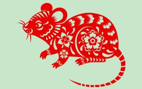 属鼠人2024年全年运势运程女性