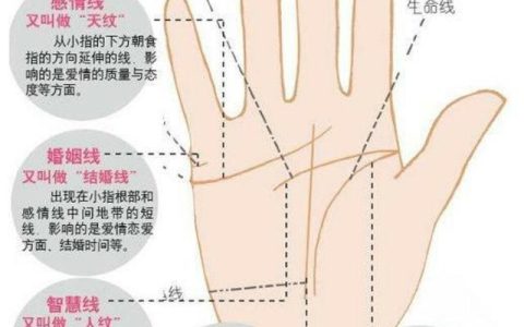 从事业线能看出一个人的前途好不好吗?教你快速看懂手相！