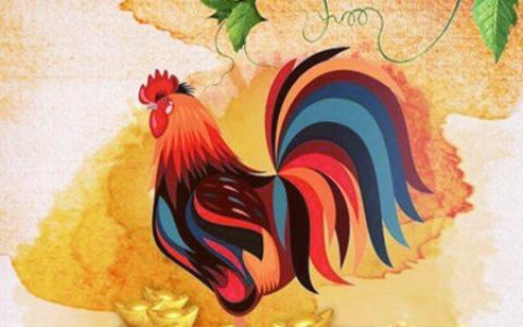 属鸡和什么生肖合财