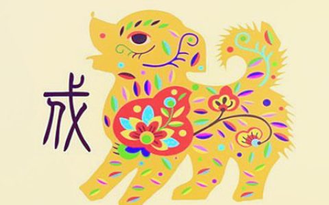 生肖狗适合养什么宠物