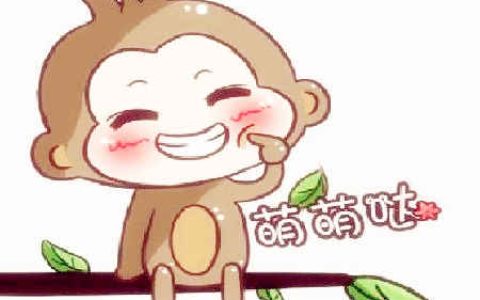 属猴的女人事业运好不好