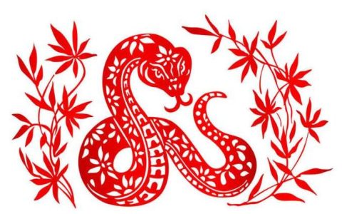 属蛇2024年整体运势，属蛇2024年的运势及运程！