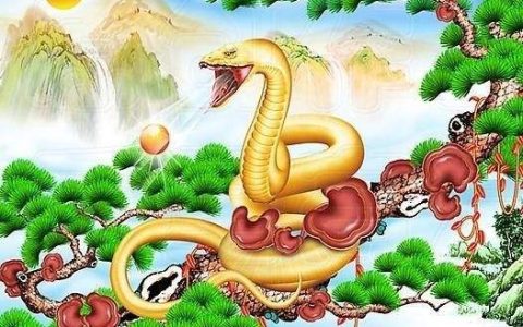 2025蛇是什么命 五行属什么